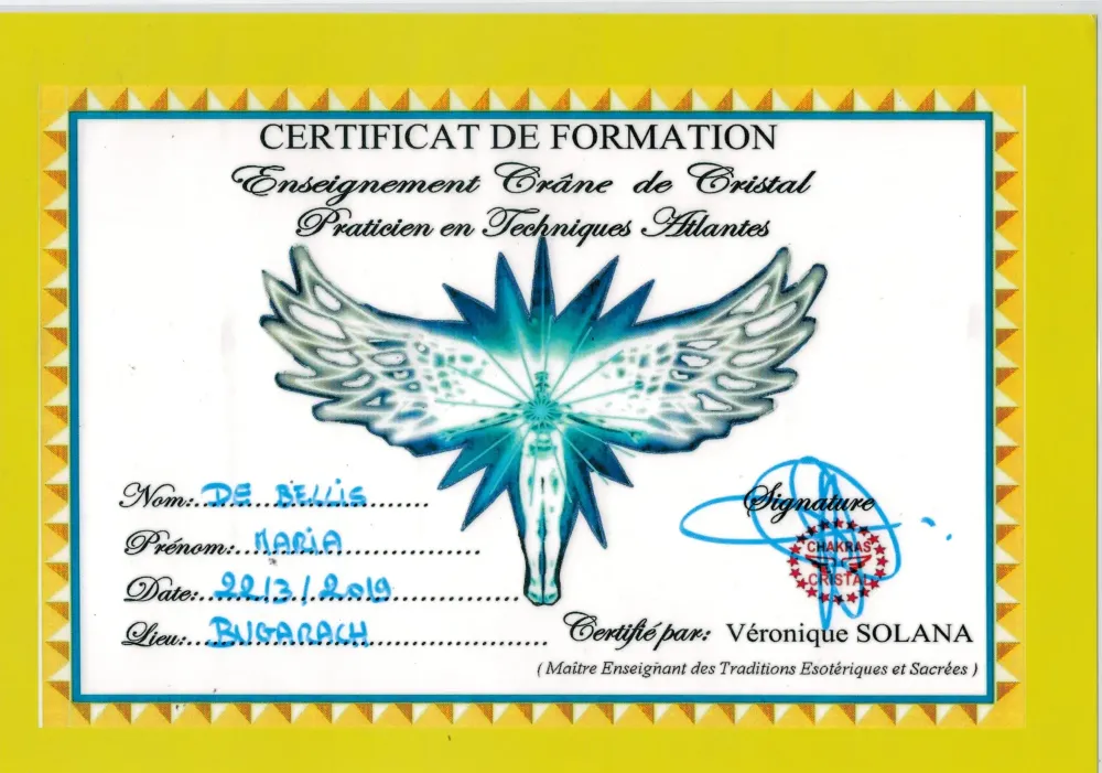diplome-7